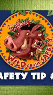 DisneySafe скриншот 2
