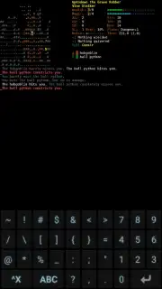 Dungeon Crawl: Stone Soup скриншот 11