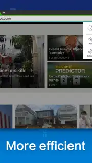 Web Browser скриншот 4