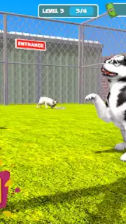 My Pet Animal Shelter World скриншот 4