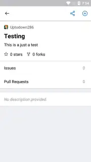 GitHub скриншот 3