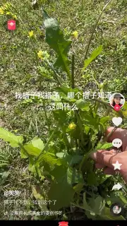 Douyin Express Edition скриншот 1