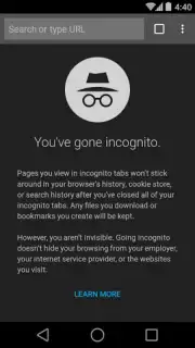Chrome Beta скриншот 17
