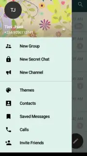 Messenger Plus скриншот 4