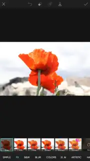 PicsArt скриншот 26
