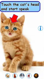 Talking, Dancing Cat. скриншот 8