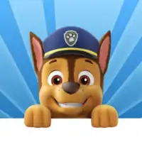 Paw Patrol Academy